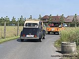 Zandlemig Vlaanderen